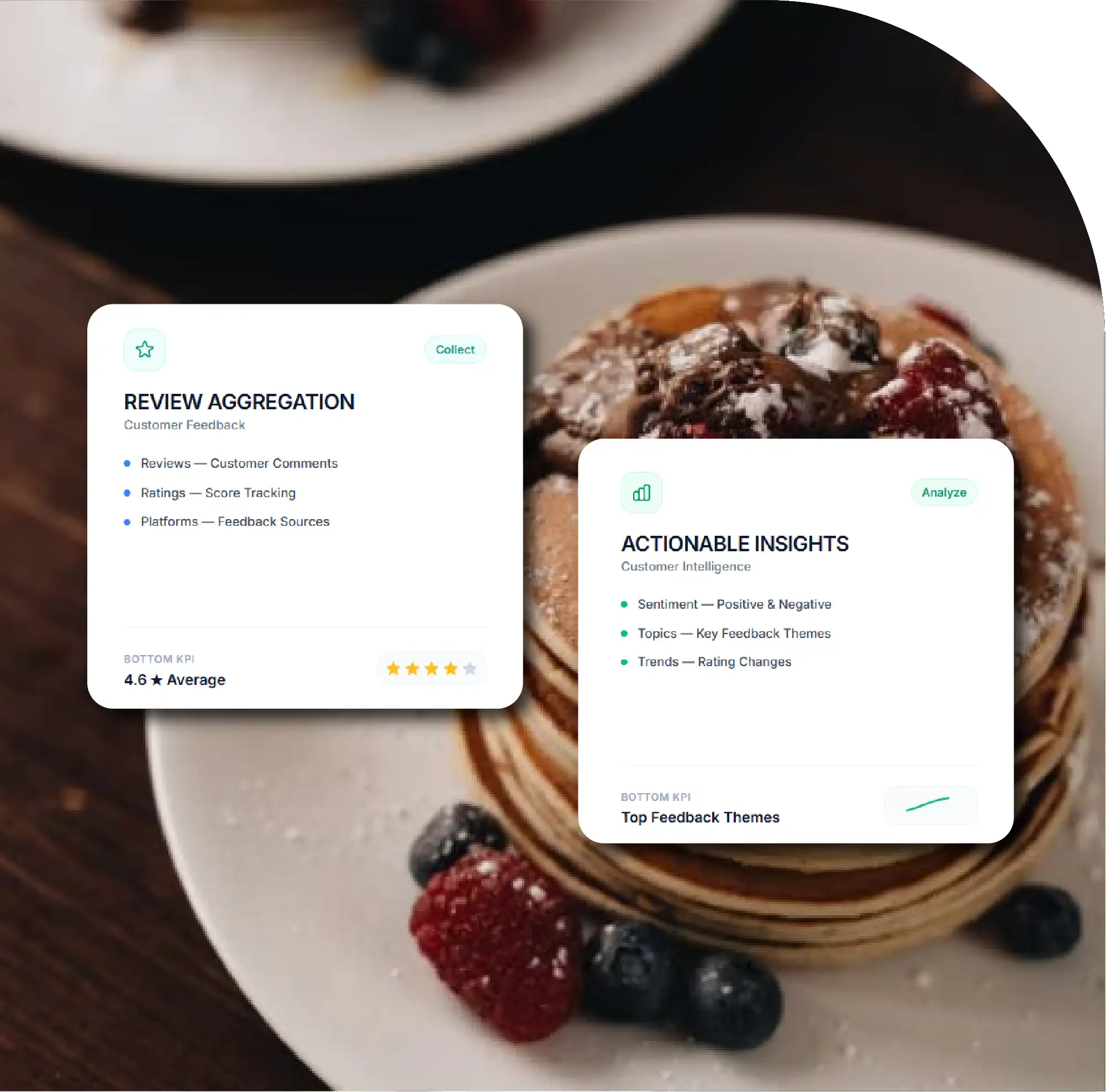 Report Overview
